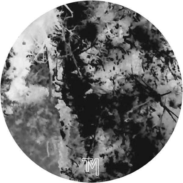 RVO - Taciturn Manner LP [A/B side]
