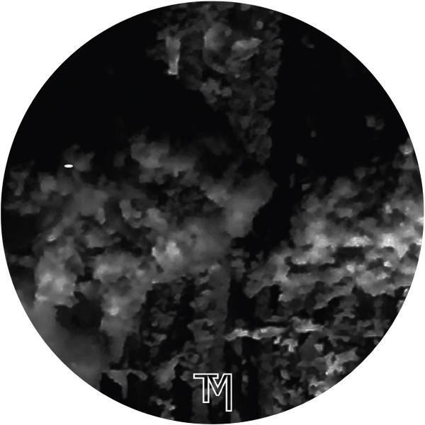 RVO - Taciturn Manner LP [CD disc]