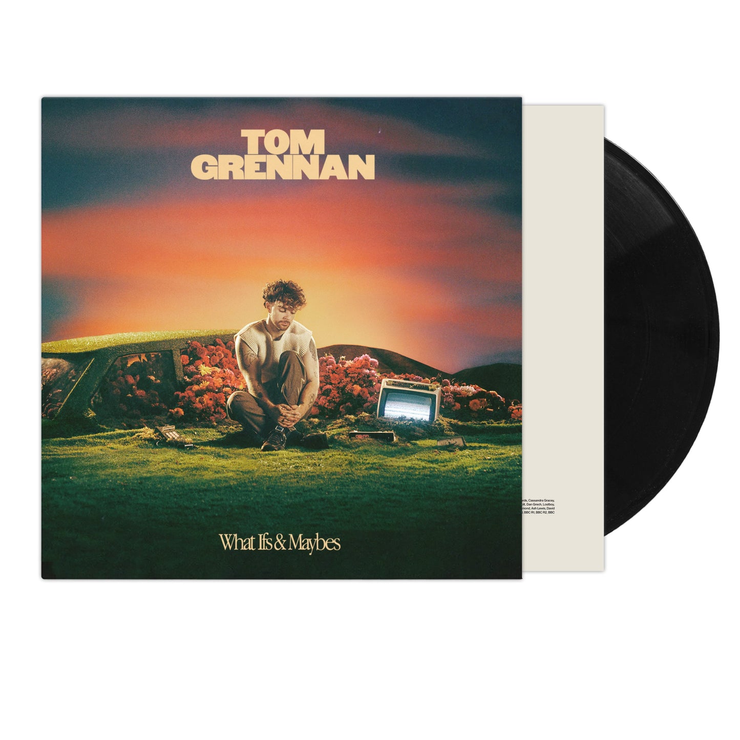 Tom Grennan - What Ifs & Maybes [LP]