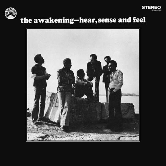 THE AWAKENING - HEAR, SENSE AND FEEL [LP]