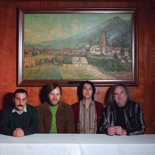 THE JAY VONS - THE WORD [LP]