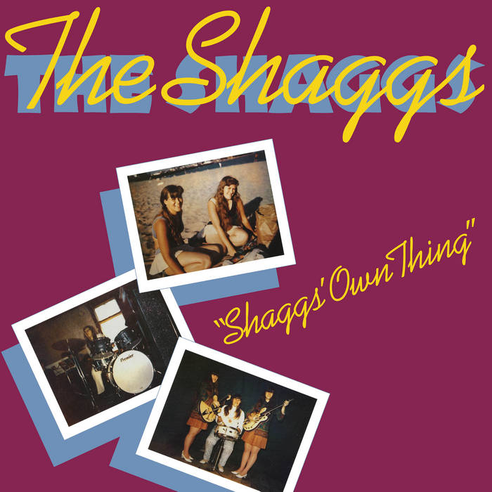 THE SHAGGS - SHAGGS OWN THING [LP]