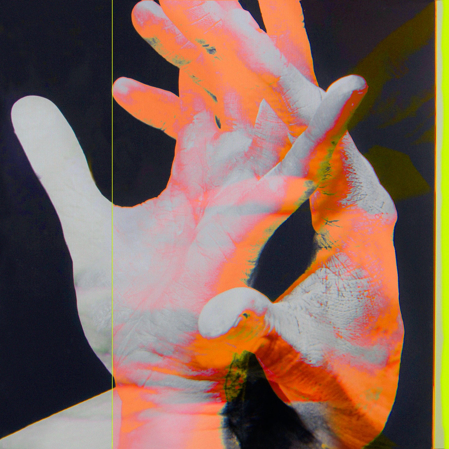 Toada Airosa Melanina