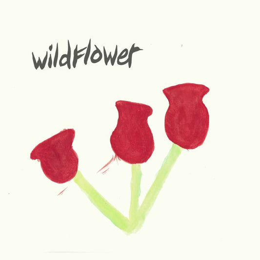 WILDFLOWER - BETTER TIMES