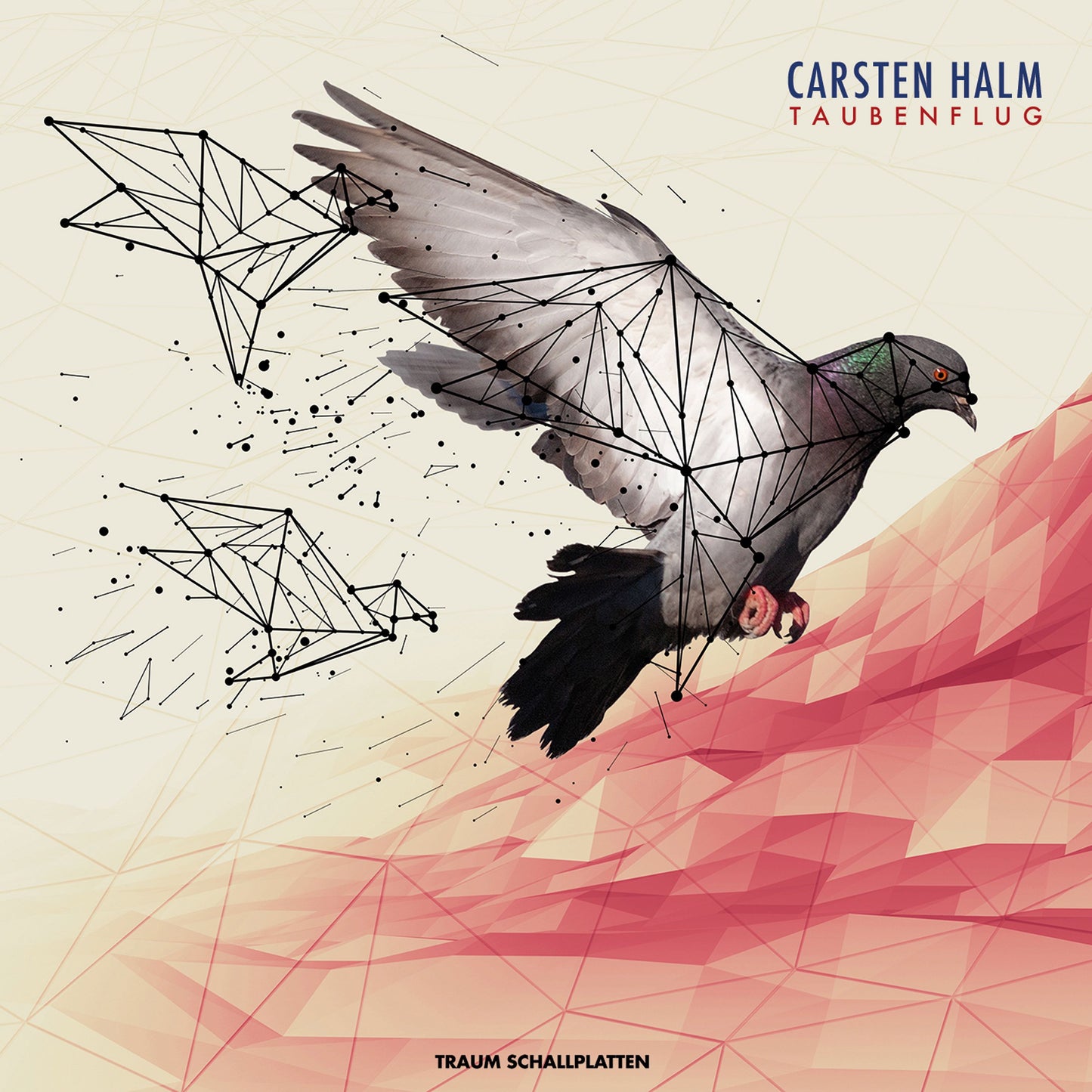 Carsten HALM - Taubenflug