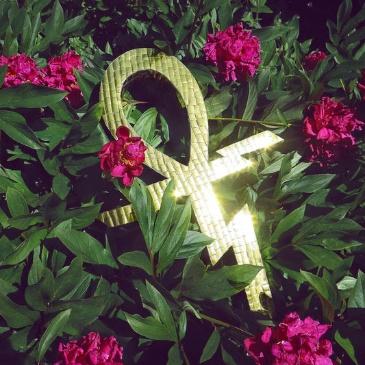 Temples - Paraphernalia [Coloured Vinyl]