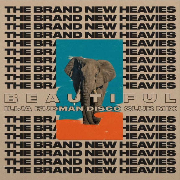 The BRAND NEW HEAVIES - TBNH (Ilija Rudman Mixes)
