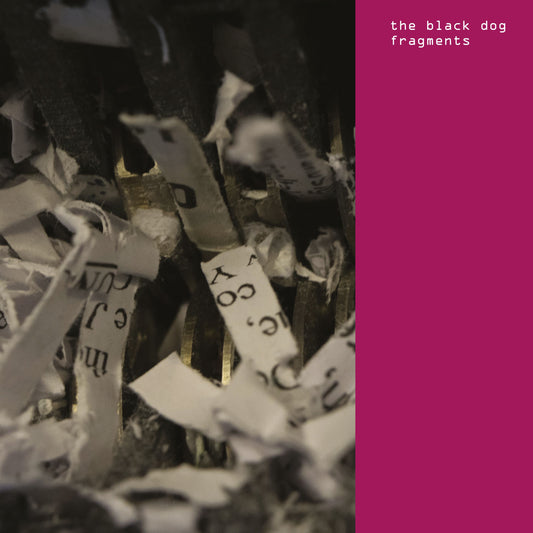 The Black Dog - Fragments