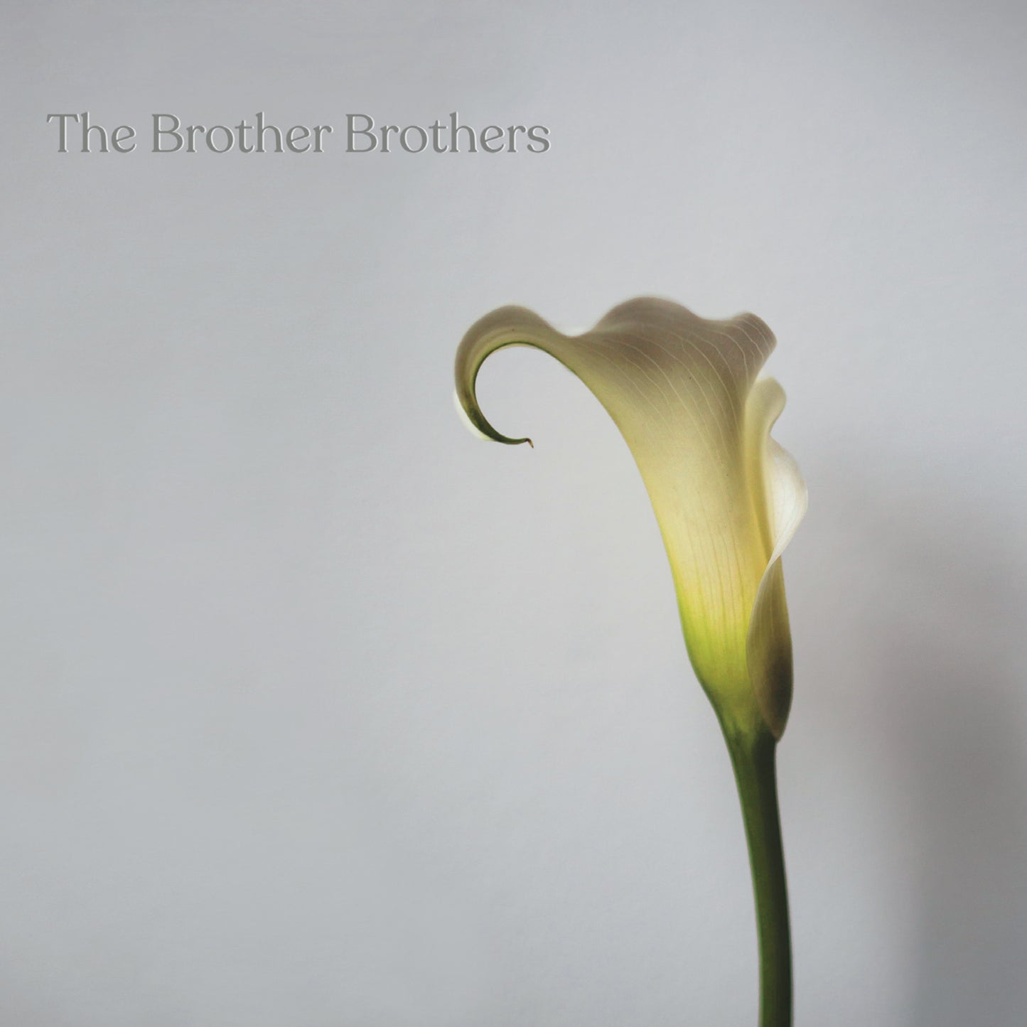 The Brother Brothers - Calla Lily [CD]