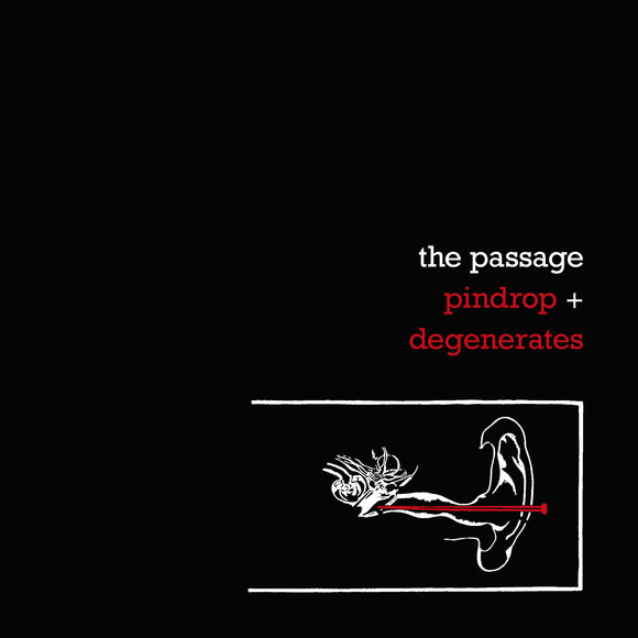 The Passage - Pindrop + Degenerates
