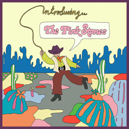 The Pink Stones - Introducing… The Pink Stones [CD]