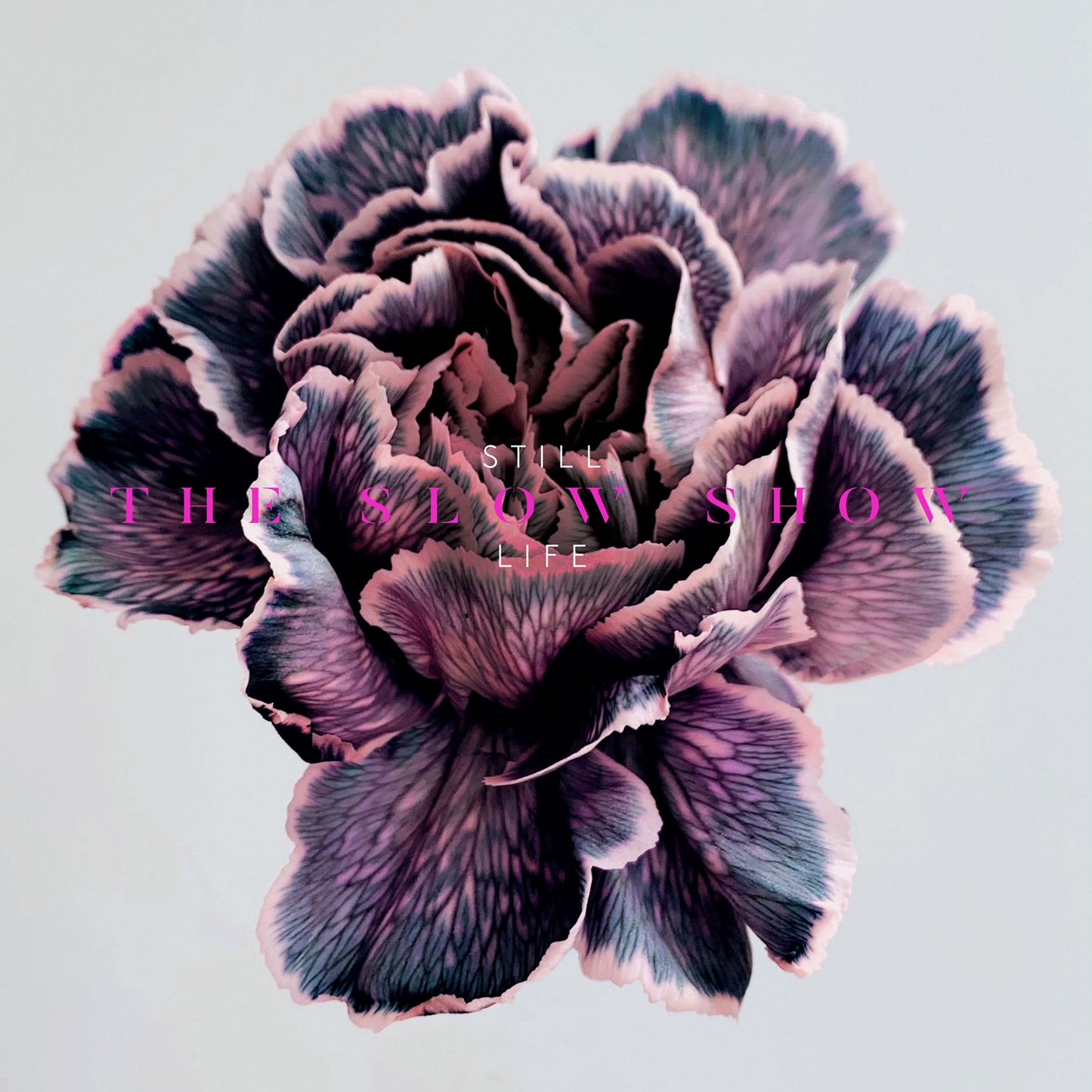 The Slow Show - STILL LIFE [Coloured LP]