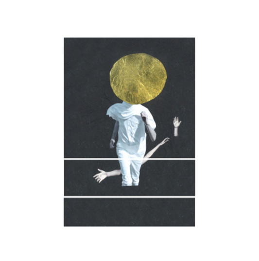 The Vernon Spring - A Plane Over Woods