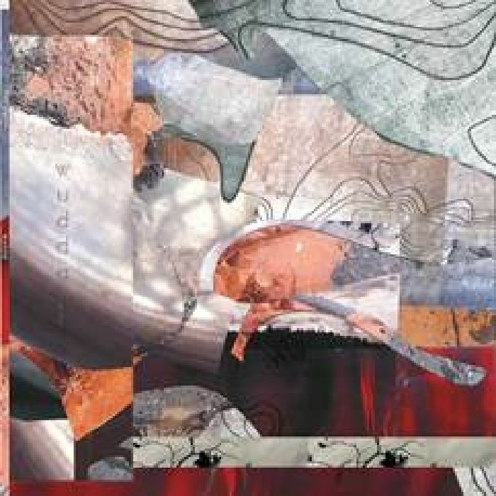 Theo PARRISH - Wuddaji [CD]