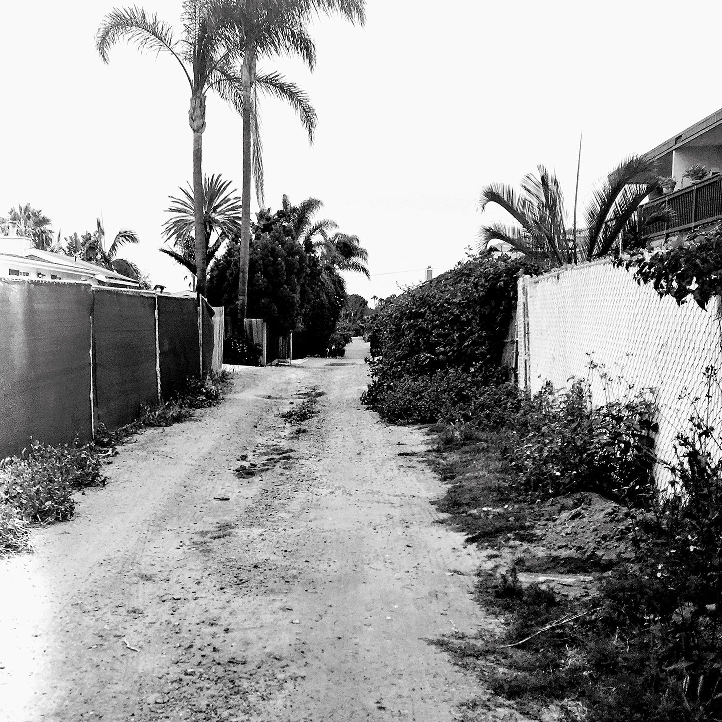 Throwing Muses - Sun Racket (Monochrome Edition) [White Vinyl]