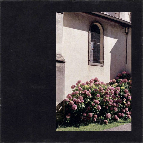 Tochigi Canopy ‎– Collecting Things