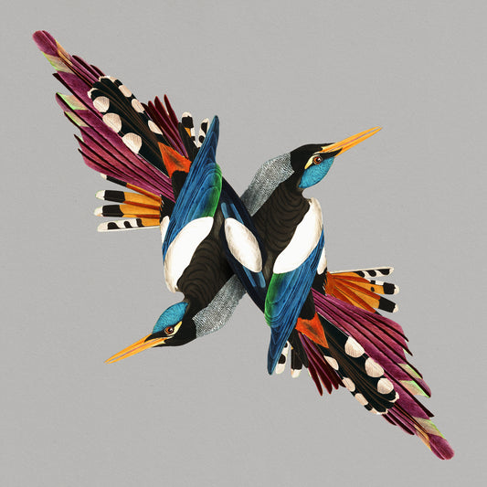 Shire T - Tomorrow’s People [CD]