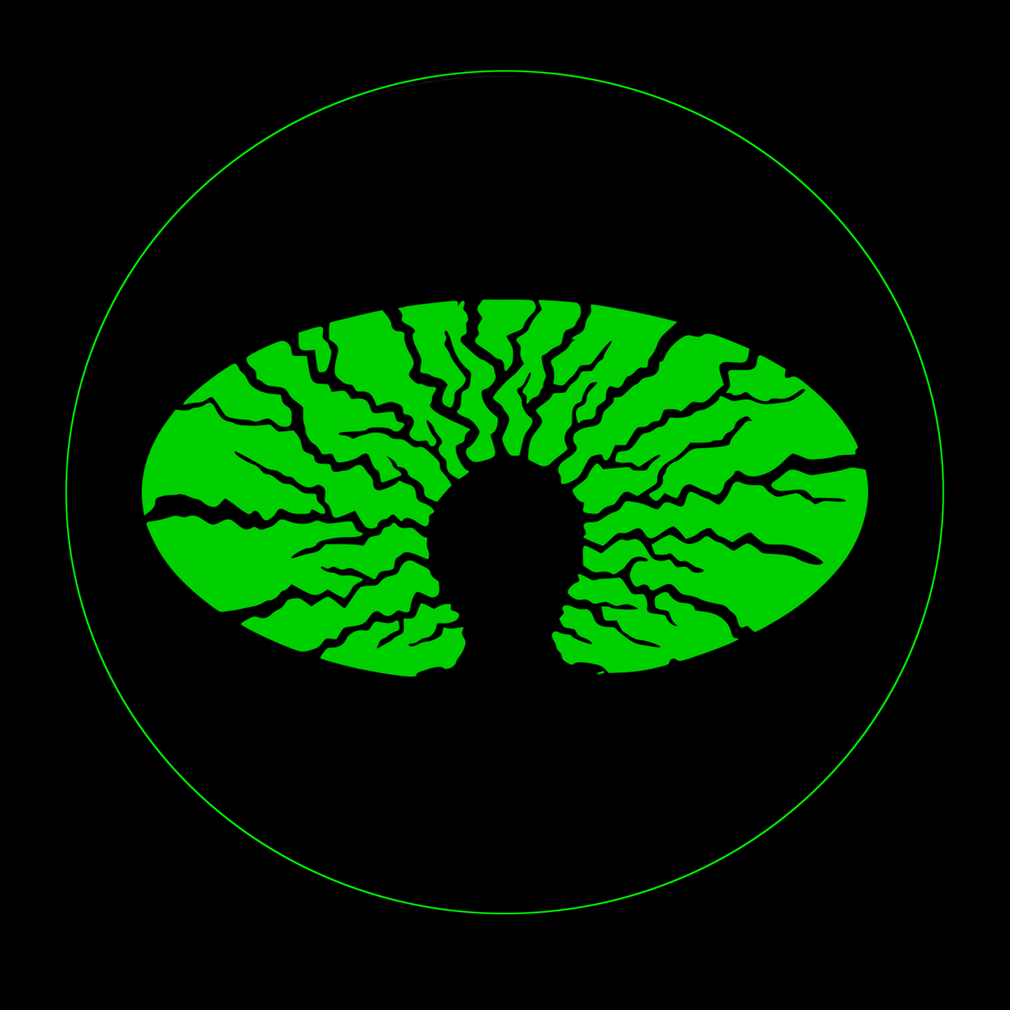 P89 - UNRELEASED EARLY WORKS COMPILATION