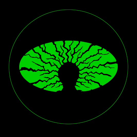 P89 - UNRELEASED EARLY WORKS COMPILATION