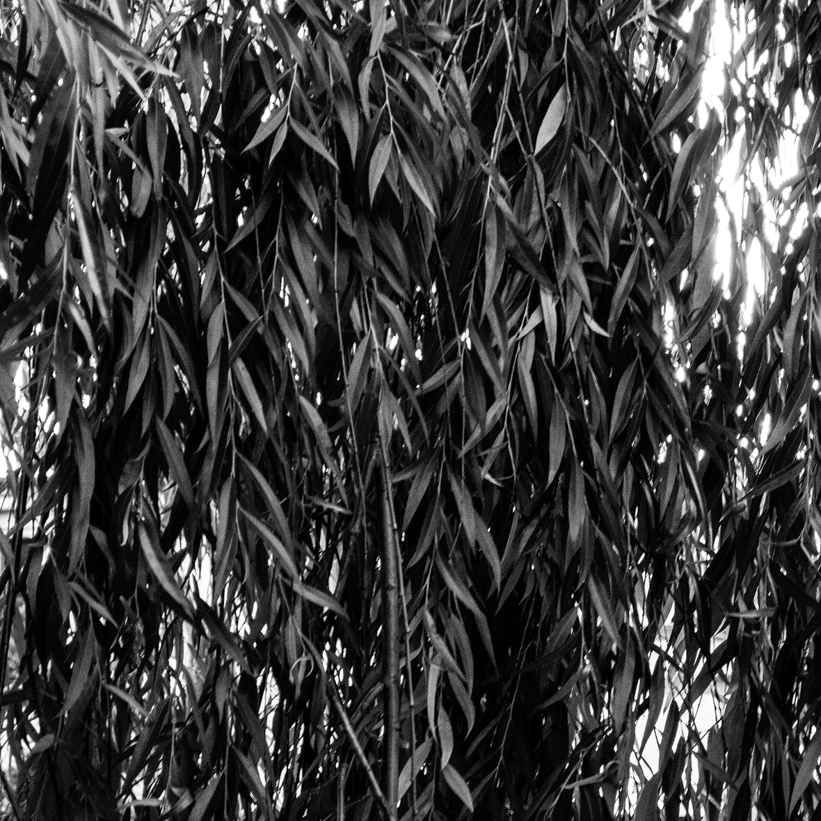 Various Artists - Understory 001