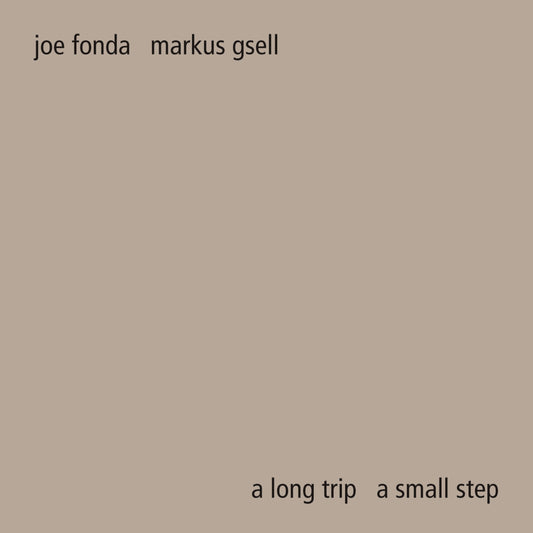 Markus Gsell - A Long Trip A Small Step
