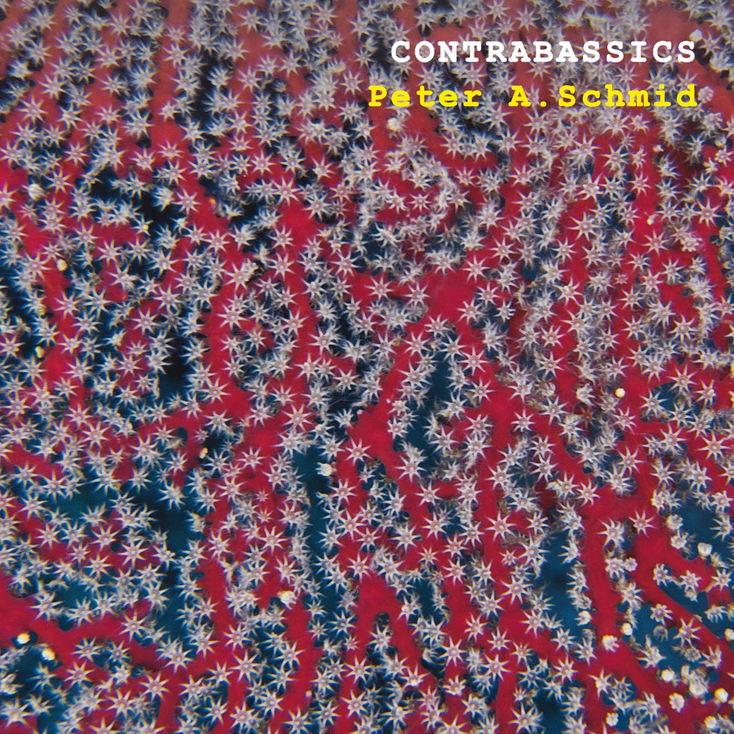 Peter A. Schmid - Contrabassics