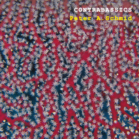 Peter A. Schmid - Contrabassics