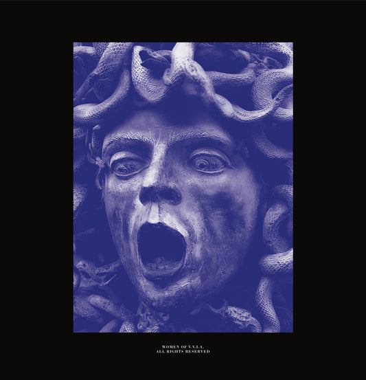 VIVA - Chaos Brings Order