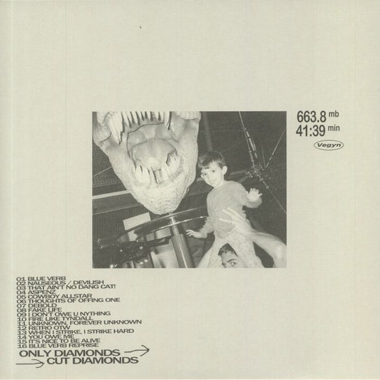 VEGYN - Only Diamonds Cut Diamonds