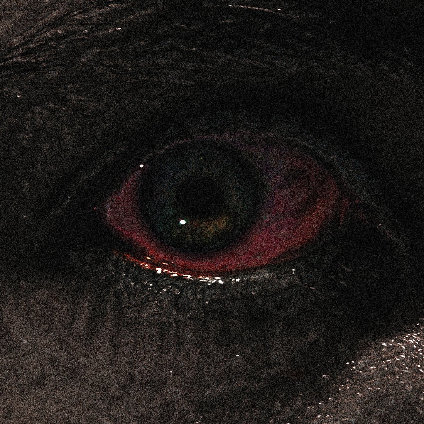 Voreus The Proclamation