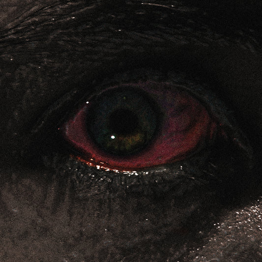 Voreus The Proclamation