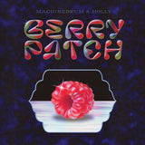 Machinedrum & Holly - Berry Patch