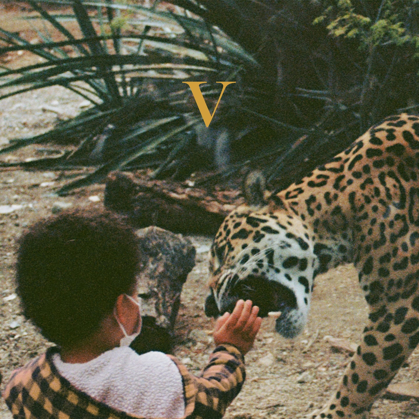Unknown Mortal Orchestra - V [2LP Golden Nugget Vinyl]