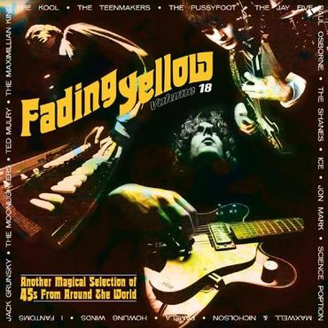 Various - Fading Yellow Vol 18