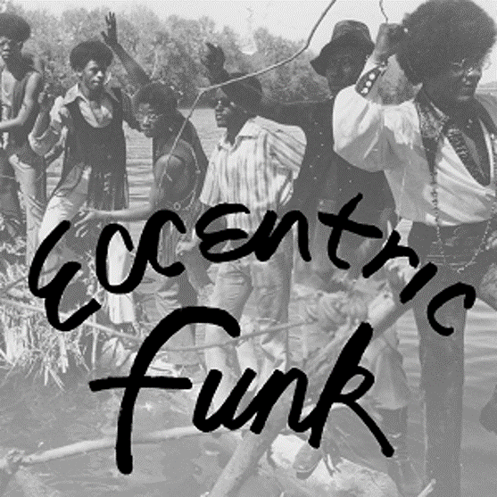 Various Artist - Eccentric Funk