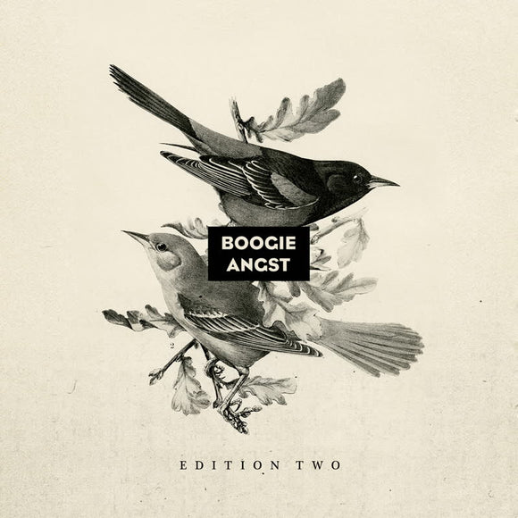 Various Artists - Boogie Angst - Edition 2