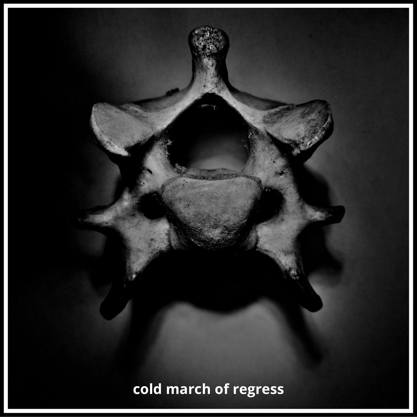 Various Artists - Cold March of Regress (Incl Homemade Weapons Remix) 12''
