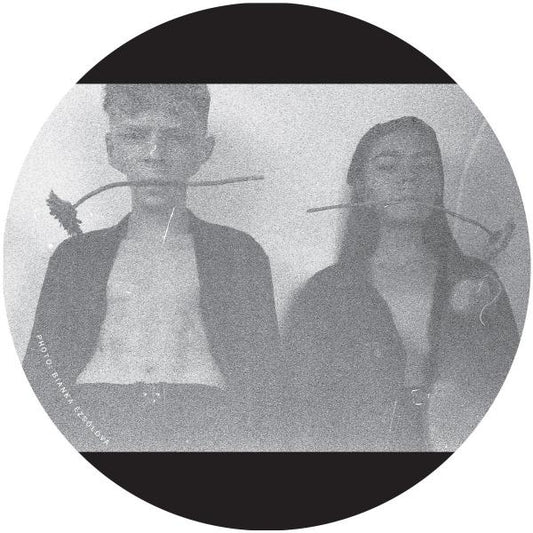 Various Artists - PVC12