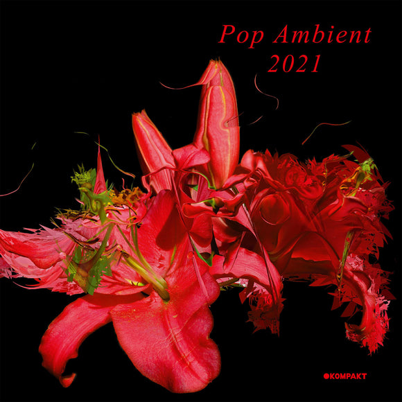 Various Artists - Pop Ambient 2021 [CD]