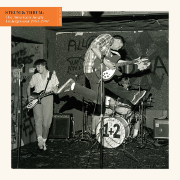 Various Artists - Strum & Thrum: The American Jangle Underground 1983-1987 [LP]