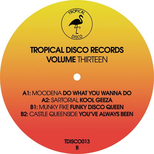 Various Artists - Vol13