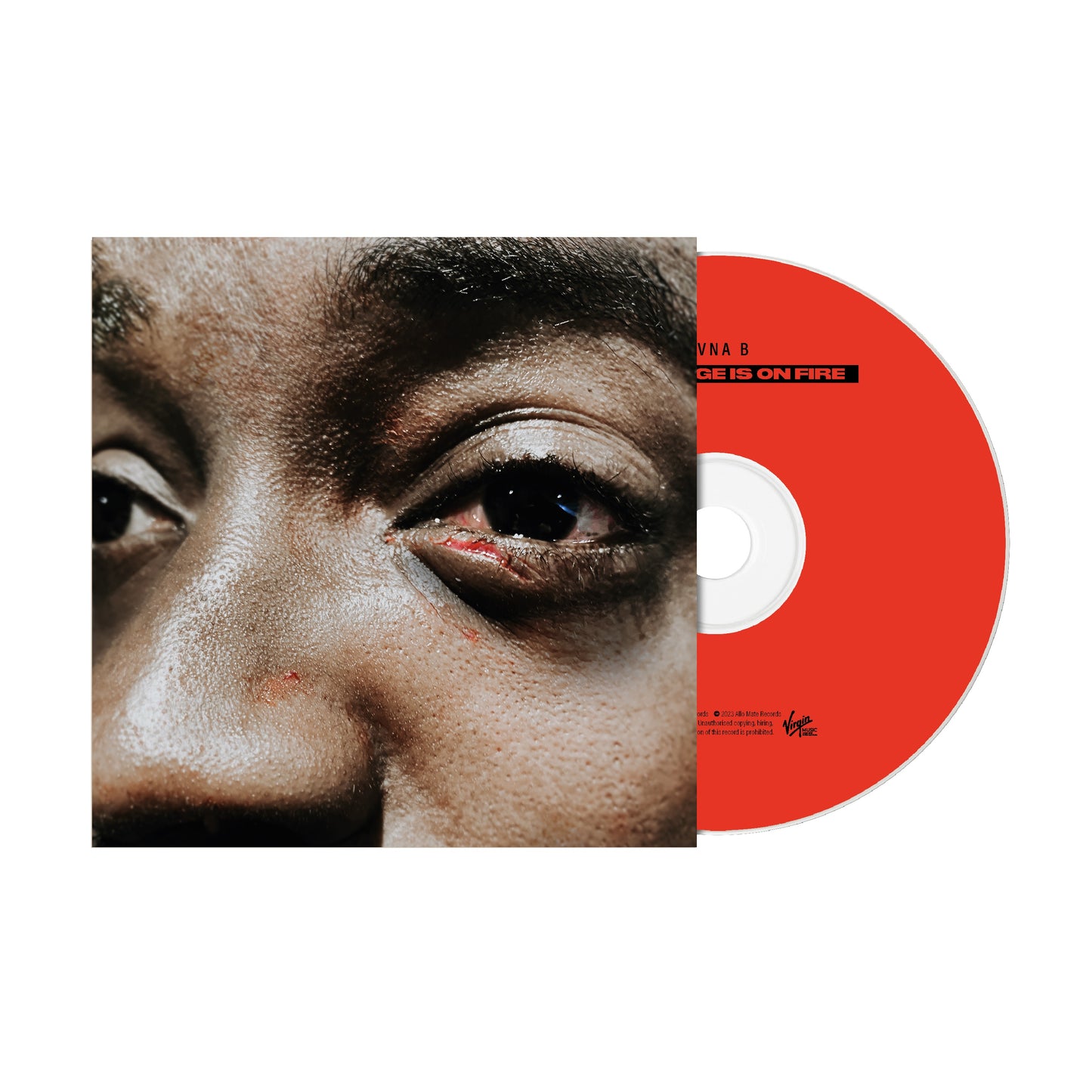 Guvna B - The Village Is On Fire [CD]