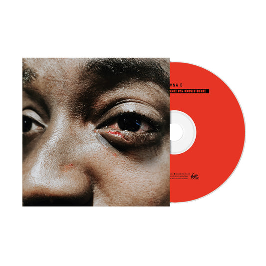 Guvna B - The Village Is On Fire [CD]