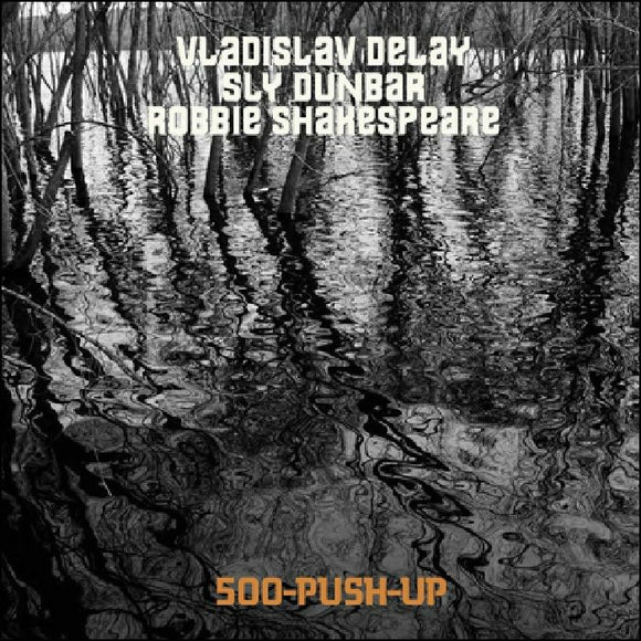 Vladislav Delay Meets Sly & Robbie - 500 Push Up [LP]