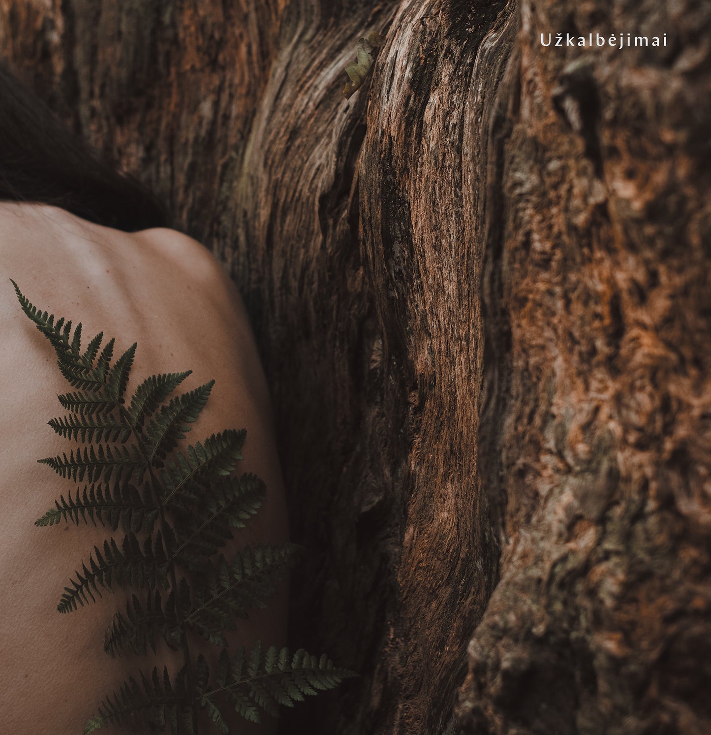 VytisVA & La'Shaour - Užkalbėjimai