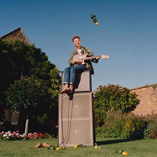 WILLIE J HEALEY - TWIN HEAVY (CD)