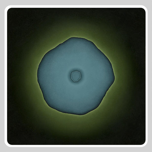 Wa Wu We - 108 Dimensions of Green [custom cut full colour sleeve / 180 grams]