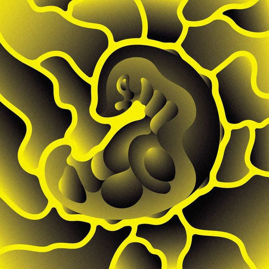 Wata Igarashi, Konduku, Felix K, Pessimist - They Live Remixes