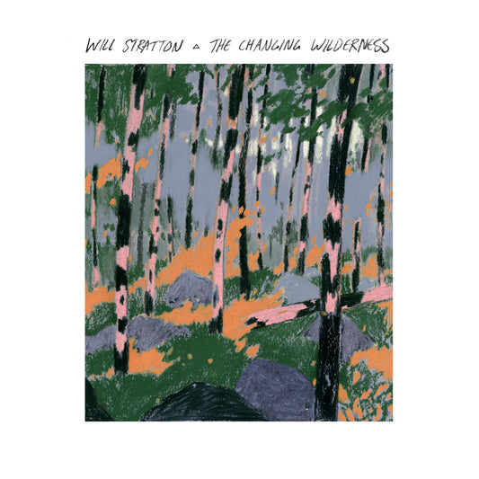 Will Stratton - The Changing Wilderness [CD]