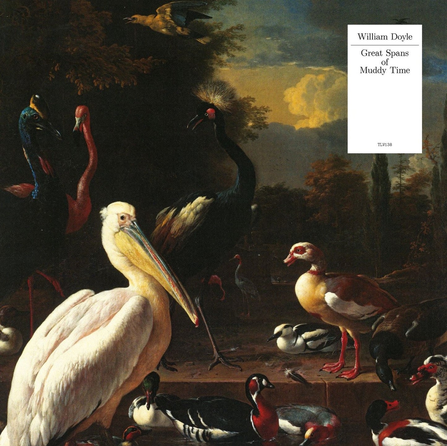 William Doyle - Great Spans of Muddy Time [LP]